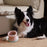 Puzzle Feeder Tumbler Interactive Dog Toy M/L breeds
