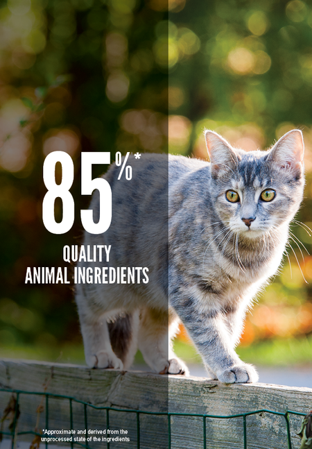 ORIJEN Original Dry Cat Food | Adult Cat Kibble Grain Free Freeze-Dried Coated WholePrey Recipe Fresh & Raw Ingredients