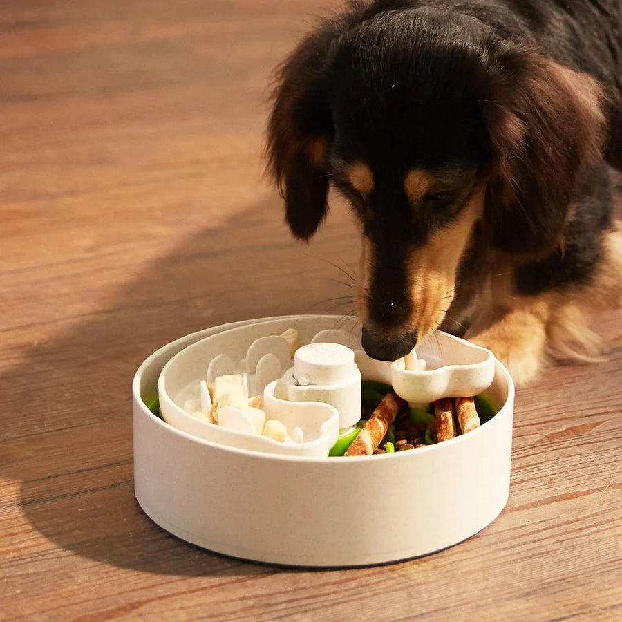 Puzzle Feeder Interactive Dog Bowl Lite Green
