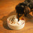 Puzzle Feeder Interactive Dog Bowl Lick Lite Yellow