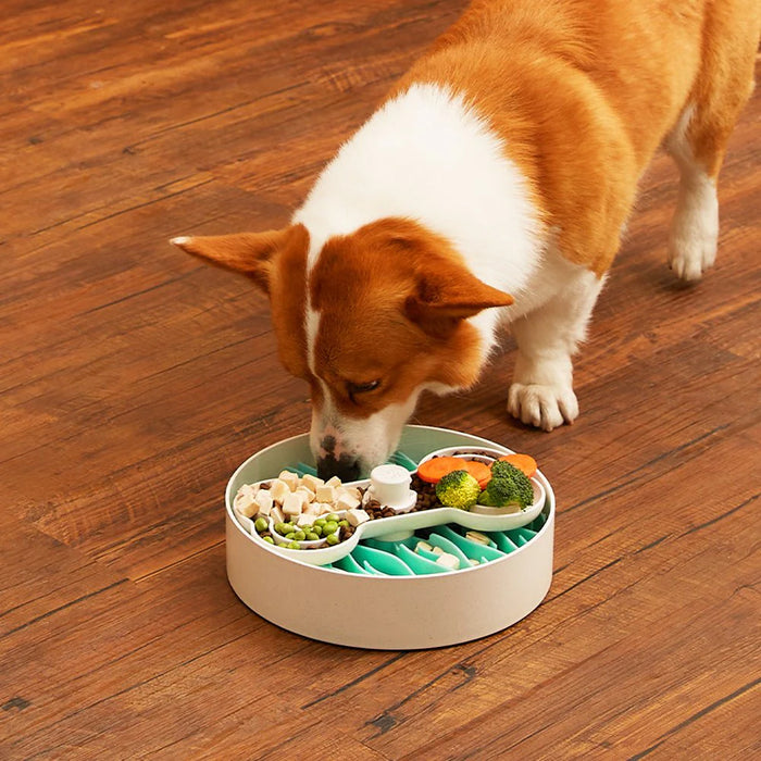 Puzzle Feeder Interactive Dog Bowl Broken Wave Lawn Green