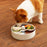 Puzzle Feeder Interactive Dog Bowl Lick Mat Lake Blue