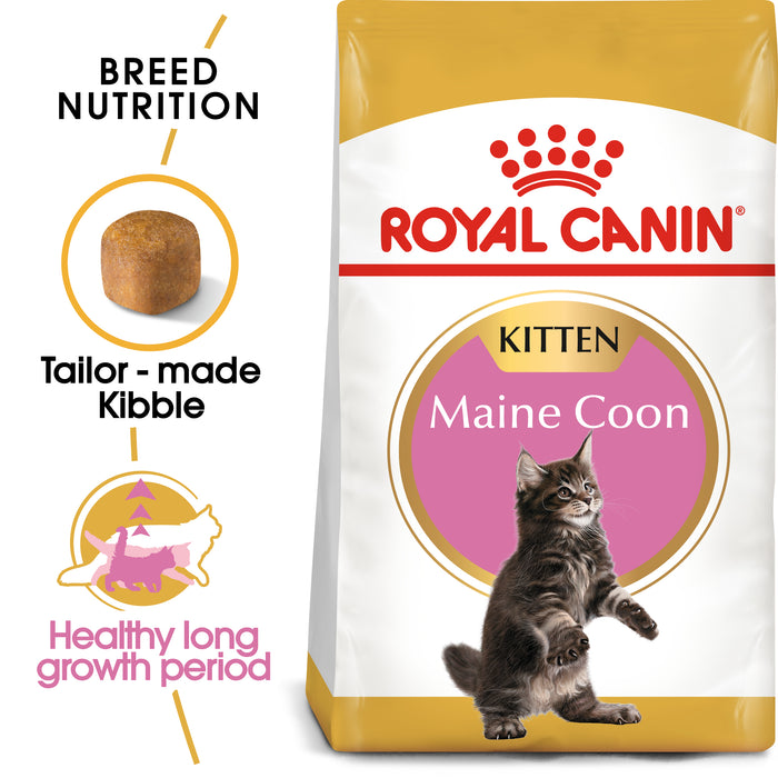 Royal Canin Feline Kitten Maine Coon Cat Dry Food 400g
