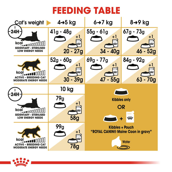 Royal Canin Feline Adult Maine Coon Cat Dry Food 4kg