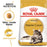 Royal Canin Adult/Kitten Maine Coon (3 Sizes)