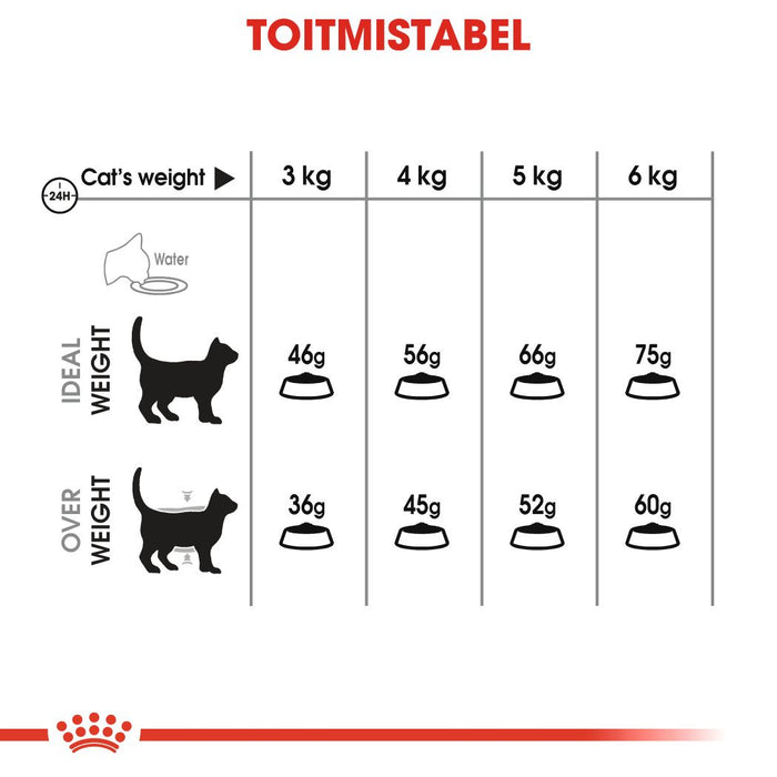 Royal Canin Feline Oral Care Cat Dry Food - 1.5kg, 3.5kg