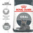 Royal Canin Feline Oral Care Cat Dry Food - 1.5kg, 3.5kg