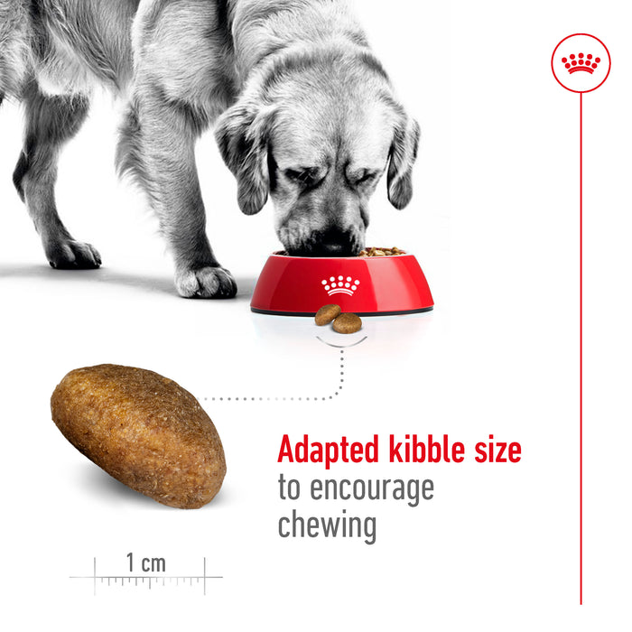 Royal Canin Canine Maxi Adult Dry Dog Food 4kg
