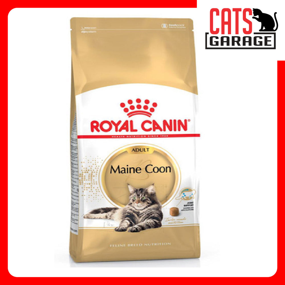 Royal Canin Feline Adult Maine Coon Cat Dry Food 4kg