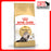 Royal Canin Feline Adult Persian Cat Dry Food 4kg