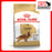 Royal Canin Cocker Spaniel Adult Dog Dry Food (3kg)