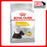 Royal Canin Canine Mini Dermacomfort Dry Dog Food (3 Sizes)