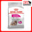 Royal Canin Canine Mini Exigent Fussy Appetite 1kg