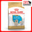 Royal Canin Canine Golden Retriever Dry Puppy Food (2 Sizes)