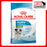 Royal Canin Canine Mini Puppy Food (2 Sizes)