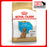 Royal Canin Canine Poodle Puppy Dry Dog Food 1.5kg