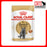 Royal Canin Feline Pouch British Shorthair Adult Cat Wet Food 85g X12