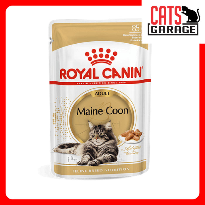 Maine coon adult royal canin best sale