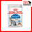 Royal Canin Feline Pouch Indoor Sterilised in Gravy 85g X12