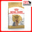 Royal Canin Canine Yorkshire Terrier Dry Dog Food 1.5kg