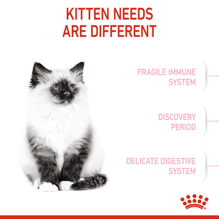 Royal Canin Feline Second Age Kitten (3 Sizes)