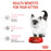 Royal Canin Feline Second Age Kitten (3 Sizes)