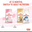 Royal Canin Feline Second Age Kitten (3 Sizes)