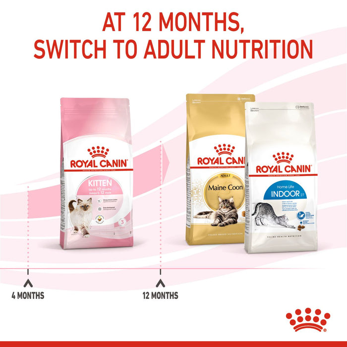Royal Canin Feline Second Age Kitten (3 Sizes)