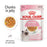 Royal Canin Feline Pouch Kitten Cat Wet Food In Jelly 85g X12