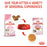 Royal Canin Feline Pouch Kitten Cat Wet Food 85g