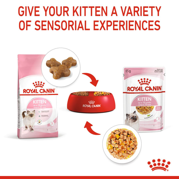 Royal Canin Feline Pouch Kitten Cat Wet Food 85g