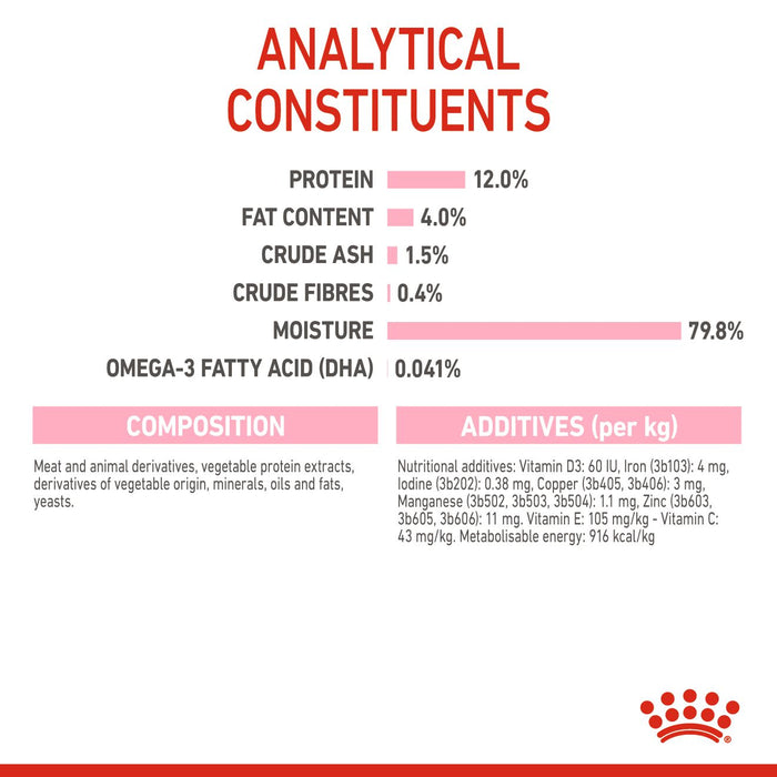 Royal Canin Feline Pouch Kitten Cat Wet Food In Jelly 85g X12