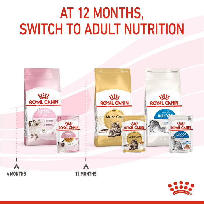 Royal Canin Feline Pouch Kitten Cat Wet Food 85g
