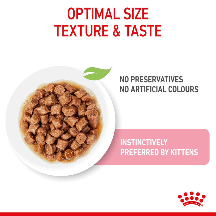 Royal Canin Feline Pouch Kitten Cat Wet Food 85g