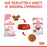 Royal Canin Feline Pouch Kitten Cat Wet Food 85g