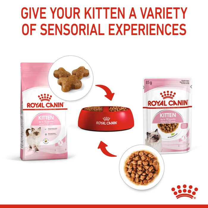 Royal Canin Feline Pouch Kitten Cat Wet Food 85g