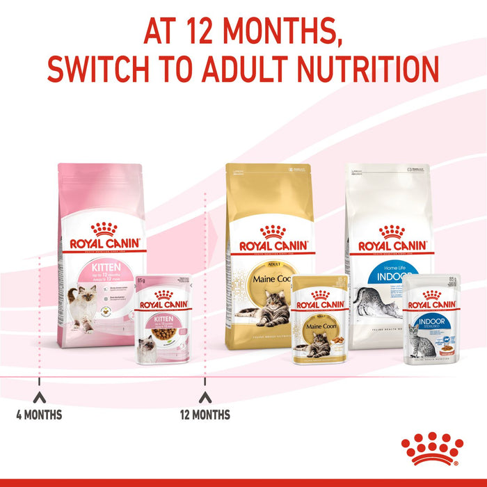 Royal Canin Feline Pouch Kitten Cat Wet Food 85g