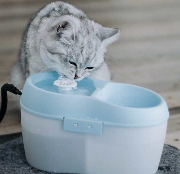 CatH2O DogH2O Filtered Pet Water Fountain