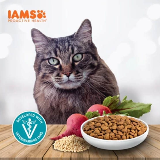 IAMS Assorted Cat Dry Food For Mother/Adult Cat 8kg/15kg