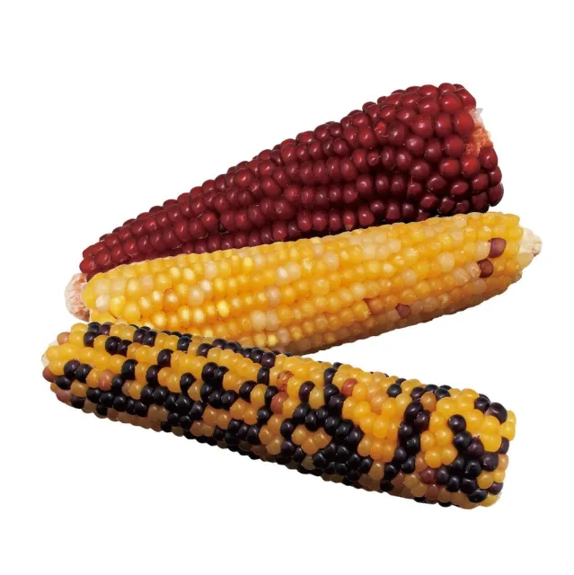 Animan Mini Corn for Small Animals – 120g