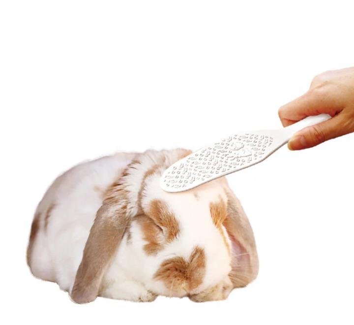 Animan Grooming Paddle Brush for Rabbit