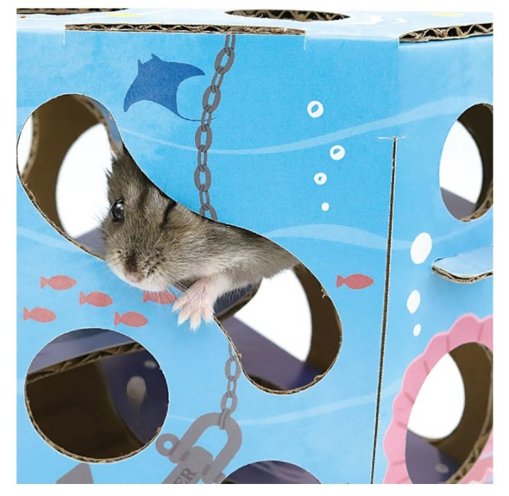 Animan Cardboard Playland for Hamsters - Sea