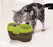 CatH2O DogH2O Filtered Pet Water Fountain