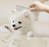 Doggyman Home Beauty Grooming Fine & Coarse Teeth Comb for Cats & Dogs
