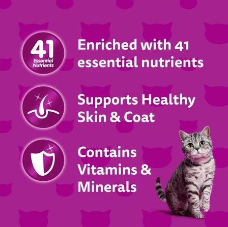 Whiskas Wet Cat Food Pouch - Juinor/Adult Multipack 80g (12-Pack)