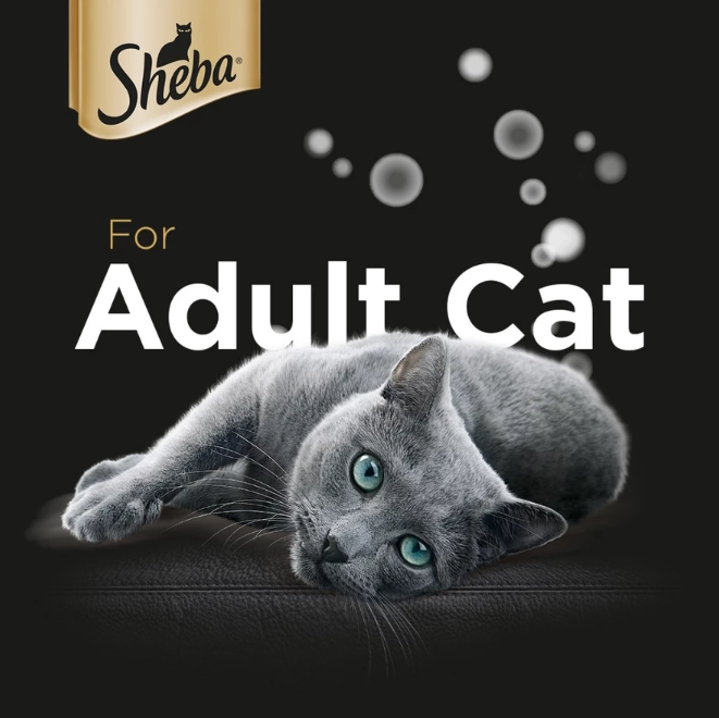 Sheba Premium Wet Cat Food in Gravy & Jelly 85g (24-Can)