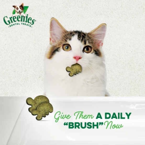 GREENIES Feline Dental Cat Treats for Adult Cats – All Flavors 60g