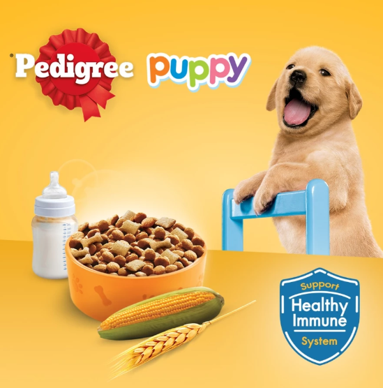 Pedigree Dry Dog Food - Adult Mini/Puppy Dog 1.3kg