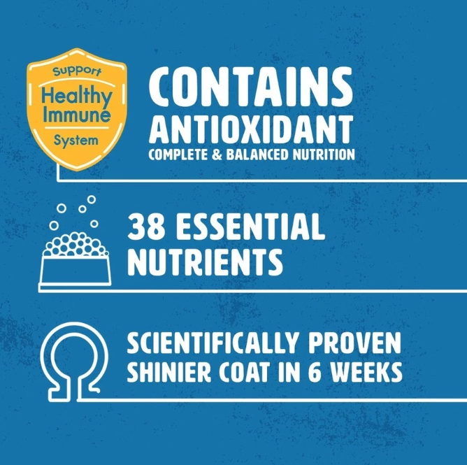 Pedigree Assorted Dry Dog Food for Adult Dog - 10kg