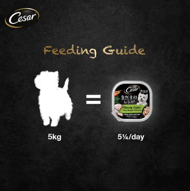 ⚡ BESTSELLER Cesar Wet Dog Food 85g | 16 Flavours Mix & Match 🐶 Super Tasty – Dogs Can’t Resist!